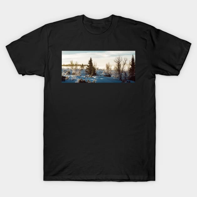 White Scandinavian Winter Landscape With Mysterious Fog on Sunny T-Shirt by visualspectrum